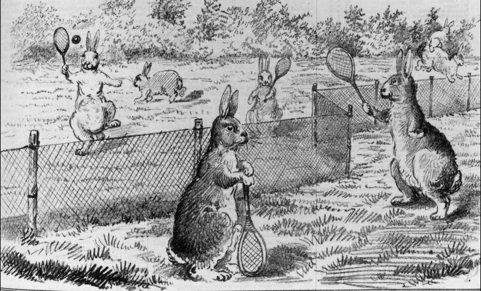 A town that lived off the rabbit’s back