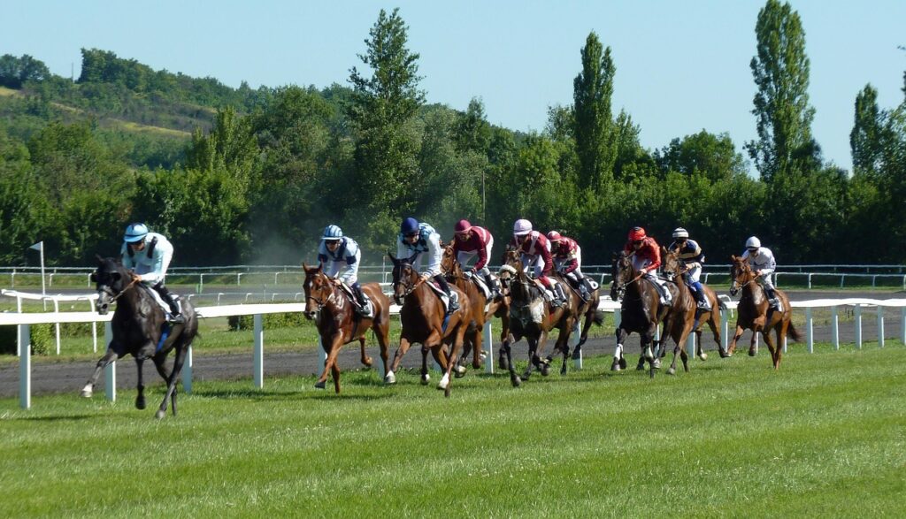horse race, hippodrome, horses, jockeys, horse, horse racing, nature, castera-verduzan, bet, pmu